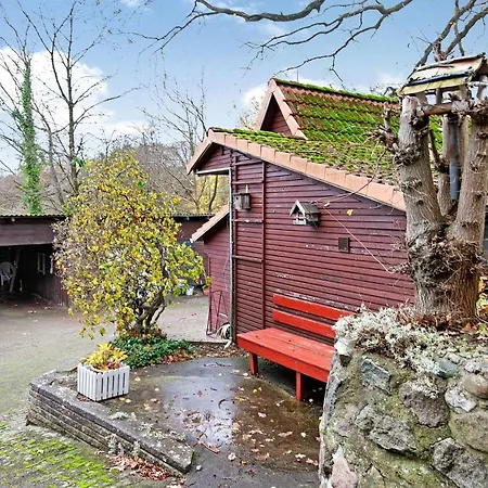 Erichsen Daire *